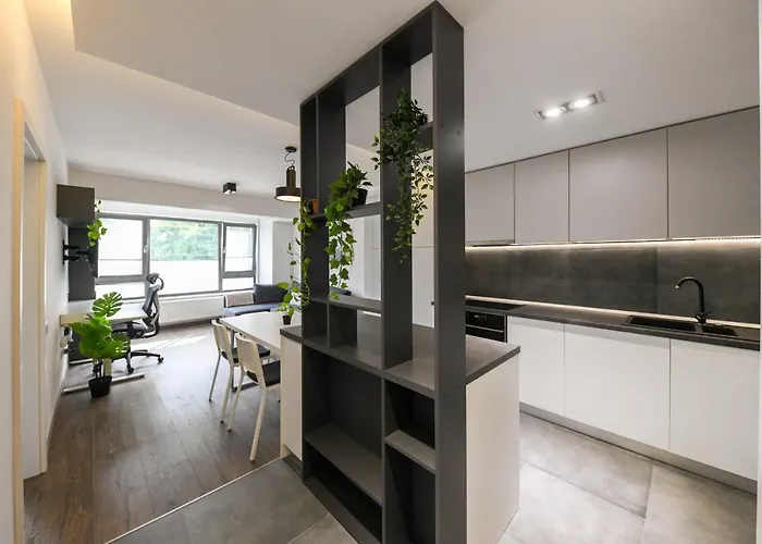 Modern In A Quiet Area * 클루지나포카