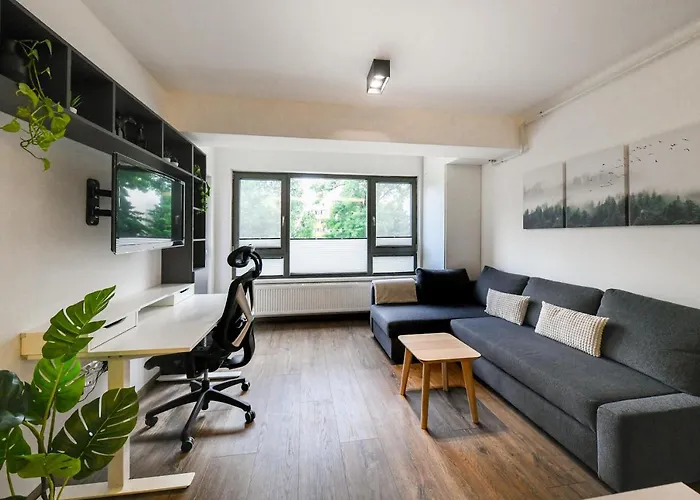 Modern In A Quiet Area 아파트 클루지나포카