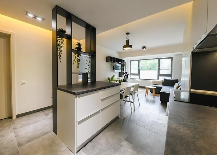 Modern In A Quiet Area Апартаменти Клуж-Напока